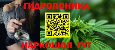 PSILOCYBIN Апшеронск