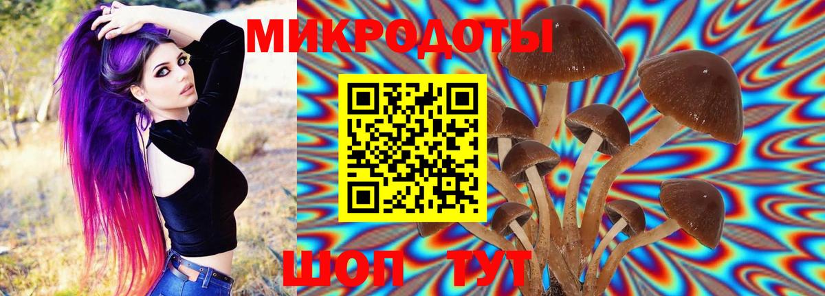 Балахна  Псилоцибиновые грибы мухоморы  где можно купить наркотик  Вход с VPN  Галлюциногенные грибы мицелий 